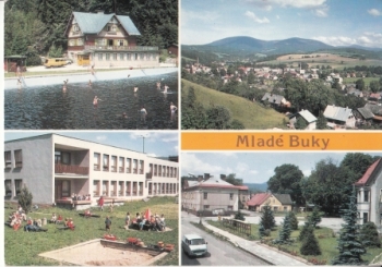 Jungbuch 1994 95 001 ●